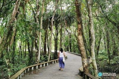 You can visit Lio Estate during an optional land tour