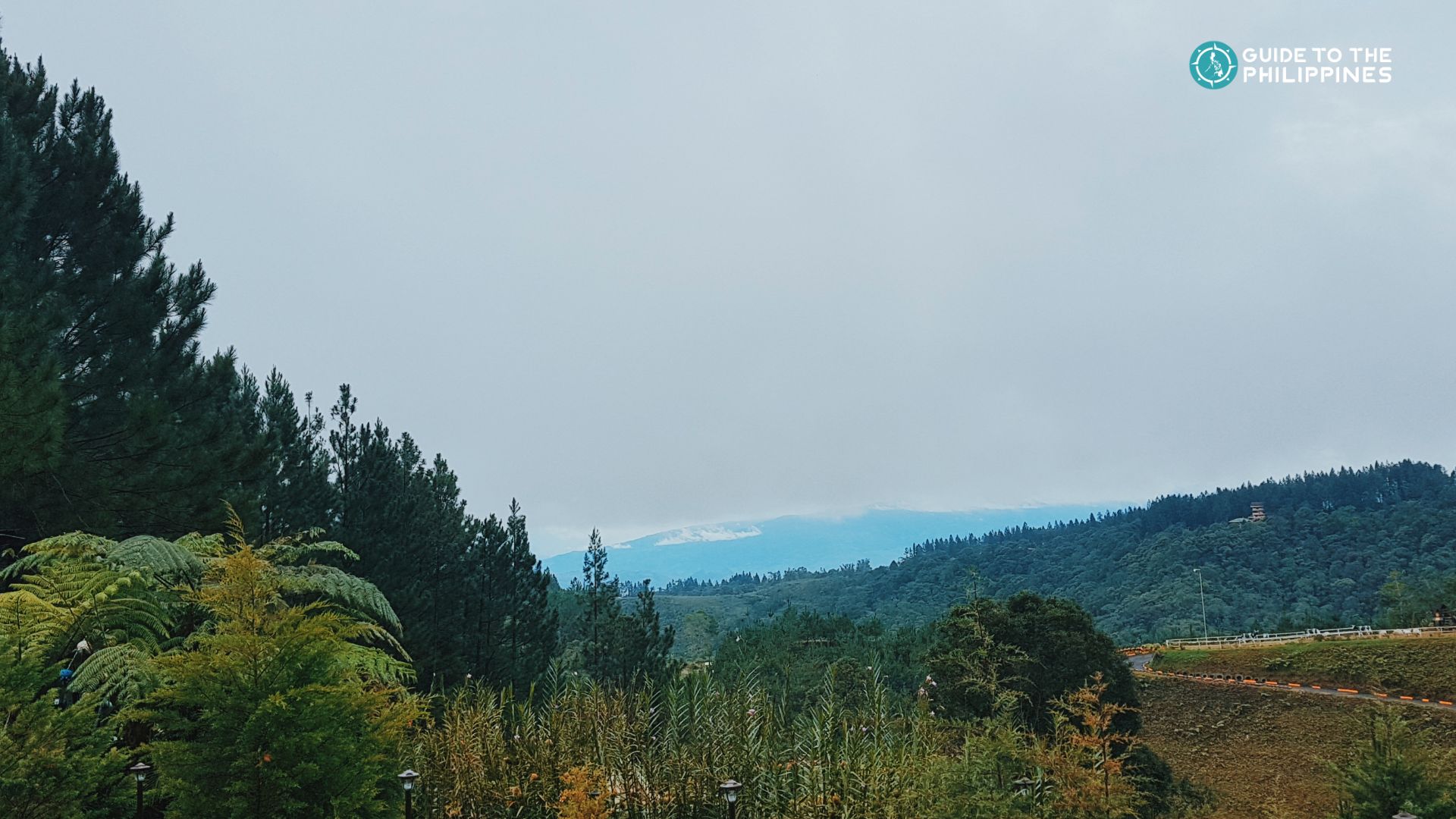 Neighborhoods and Areas