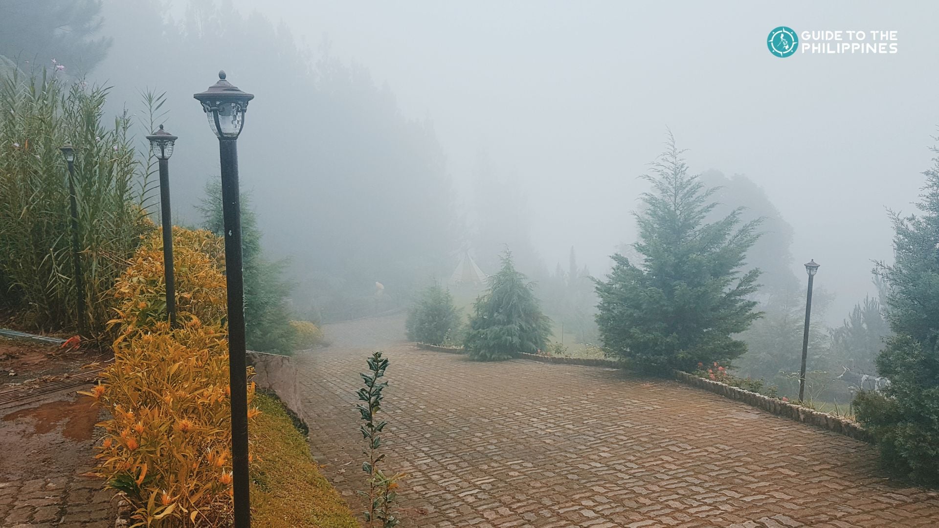 Enjoy family-friendly rides at Dahilayan Forest Park