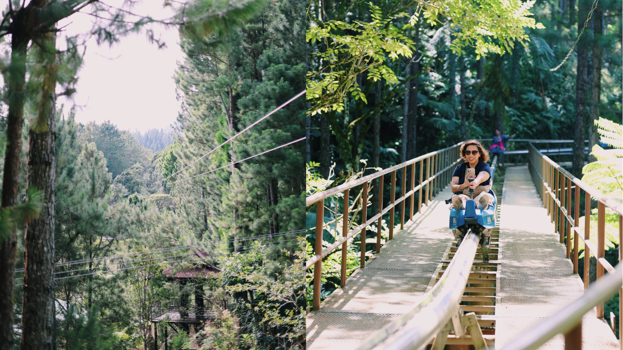 Best Travel Guide to Bukidnon Province: Everything You Need to Know 