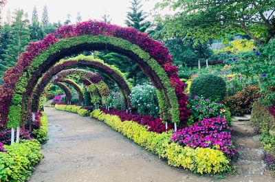 Enchanting 1-Week Cebu Island Beaches & Snorkeling Tour Package from Manila City - day 4