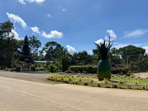 Private Tour to Bukidnon Province’s Nature Spots from Cagayan de Oro City