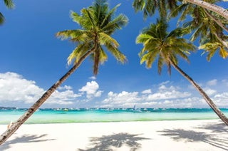 Fun 10-Day Boracay, Cebu & Palawan Islands Beaches, Whale Sharks & Nature Package with Local Flights - day 7