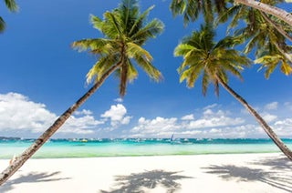 Fun 10-Day Boracay, Cebu & Palawan Islands Beaches, Whale Sharks & Nature Package with Local Flights - day 7