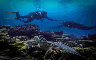 Discover Scuba Diving Tour in Coron Town on Palawan Island with Guide, Equipment, Lunch & Drinks